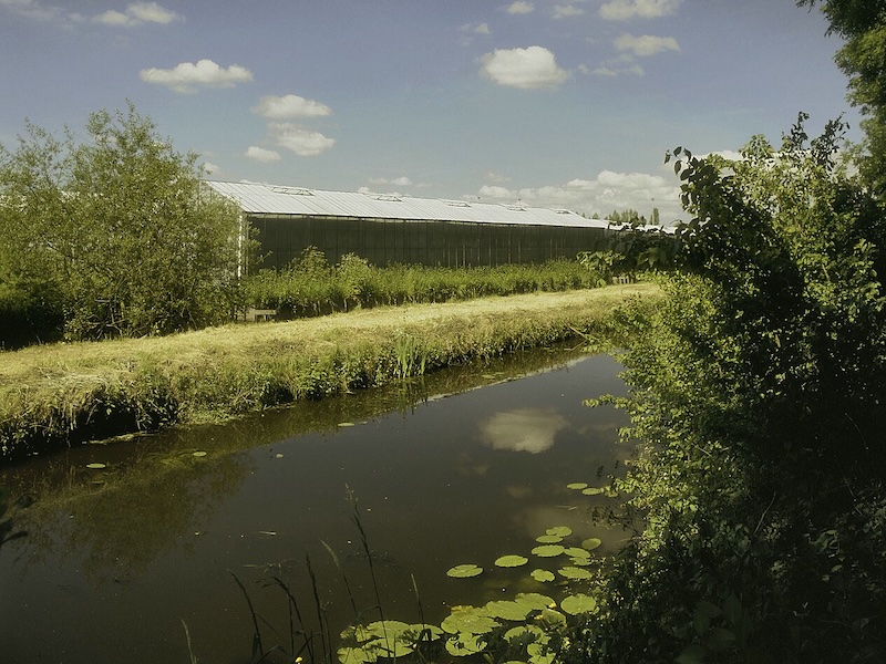 Moorddiner Maarssen landschap – Groene omgeving voor groepsuitje
