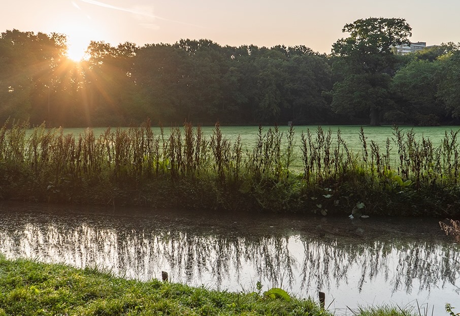 Rijswijk Zuid-Holland landschap – Omgeving voor moorddiner en groepsuitje